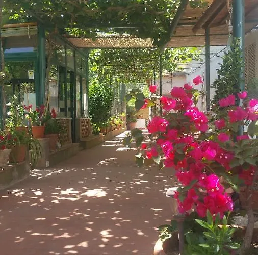 Villa dei fiori B&B Capri